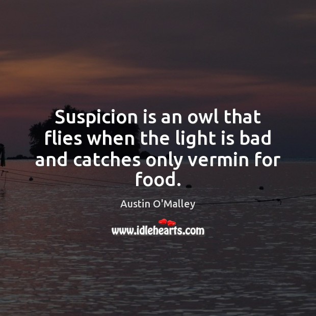 Suspicion is an owl that flies when the light is bad and catches only vermin for food. Austin O’Malley Picture Quote