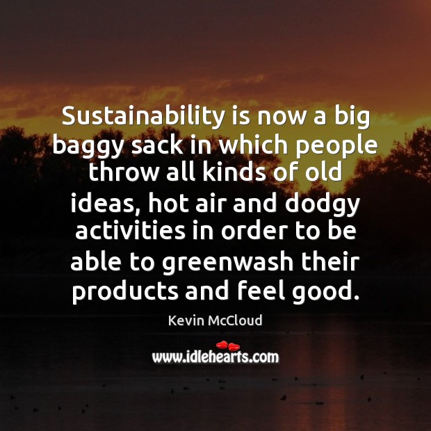 Sustainability is now a big baggy sack in which people throw all Kevin McCloud Picture Quote