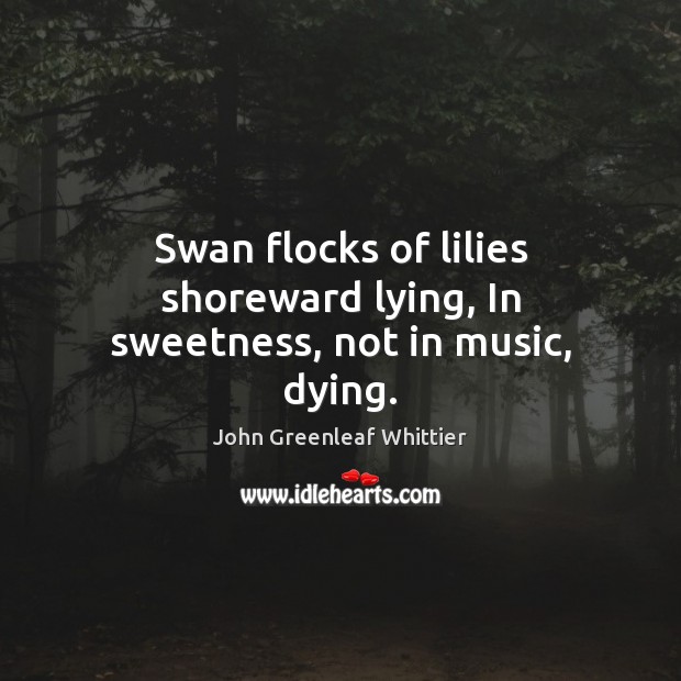 Swan flocks of lilies shoreward lying, In sweetness, not in music, dying. John Greenleaf Whittier Picture Quote