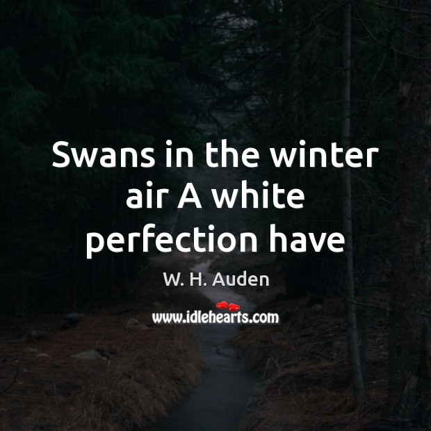 Swans in the winter air A white perfection have W. H. Auden Picture Quote