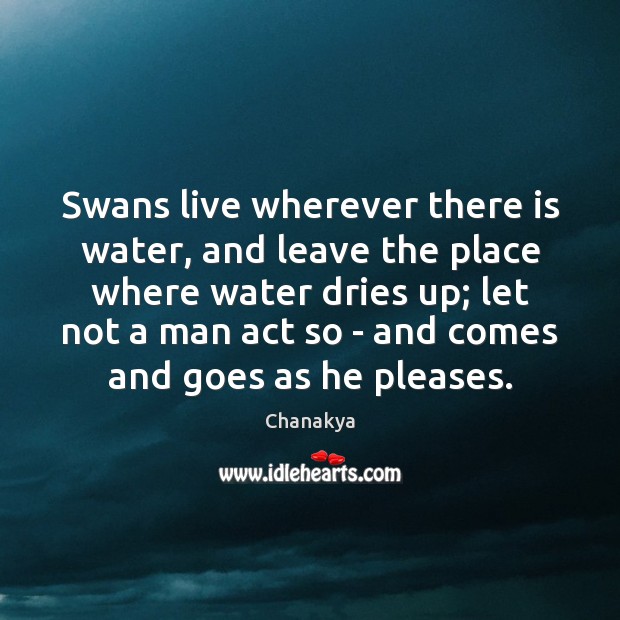 Swans live wherever there is water, and leave the place where water Image
