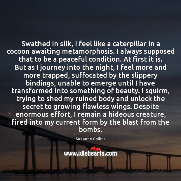 Swathed in silk, I feel like a caterpillar in a cocoon awaiting Suzanne Collins Picture Quote