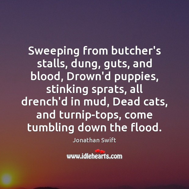 Sweeping from butcher’s stalls, dung, guts, and blood, Drown’d puppies, stinking sprats, Jonathan Swift Picture Quote