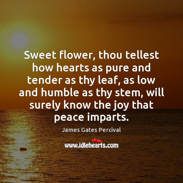 Sweet flower, thou tellest how hearts as pure and tender as thy James Gates Percival Picture Quote