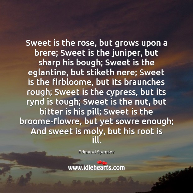 Sweet is the rose, but grows upon a brere; Sweet is the Edmund Spenser Picture Quote