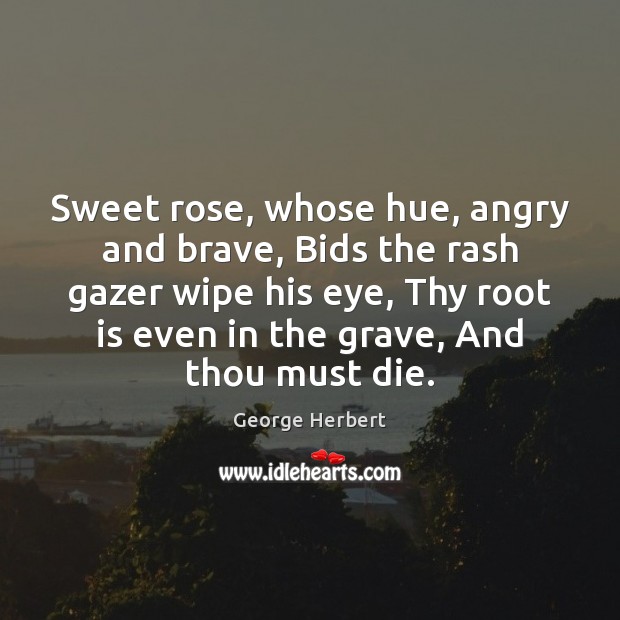 Sweet rose, whose hue, angry and brave, Bids the rash gazer wipe George Herbert Picture Quote