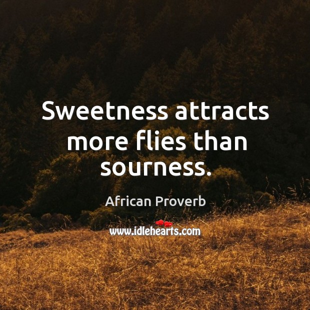 Sweetness attracts more flies than sourness. Image