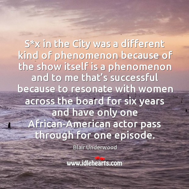 S*x in the city was a different kind of phenomenon because of the show itself is a phenomenon Blair Underwood Picture Quote