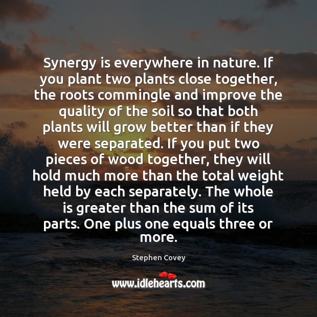 Synergy is everywhere in nature. If you plant two plants close together, Stephen Covey Picture Quote