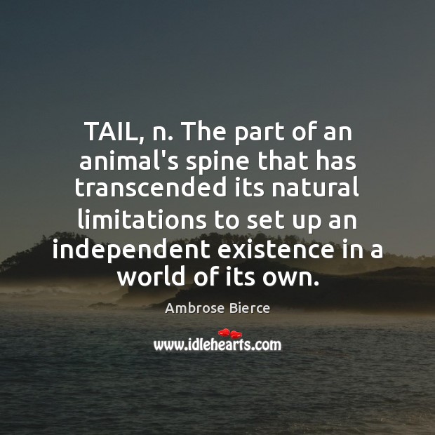 TAIL, n. The part of an animal’s spine that has transcended its Ambrose Bierce Picture Quote