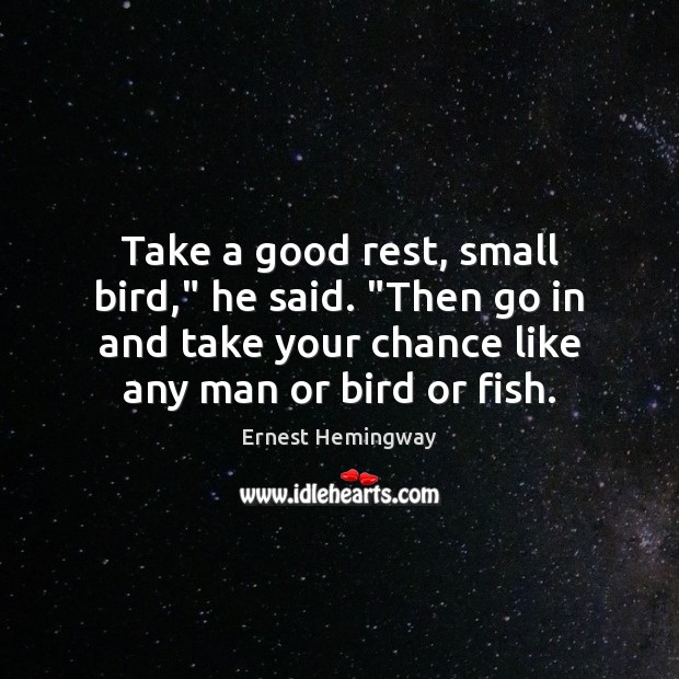 Take a good rest, small bird,” he said. “Then go in and Ernest Hemingway Picture Quote