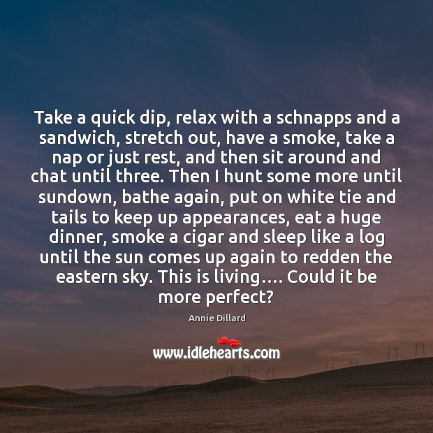 Take a quick dip, relax with a schnapps and a sandwich, stretch Annie Dillard Picture Quote