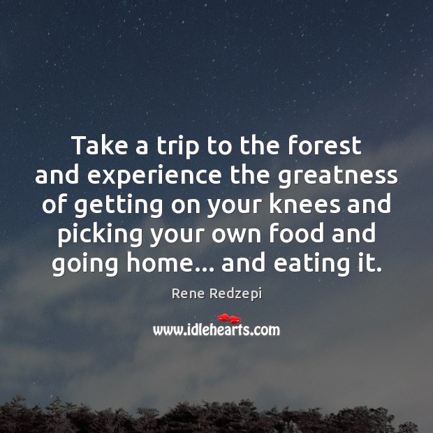 Take a trip to the forest and experience the greatness of getting Rene Redzepi Picture Quote