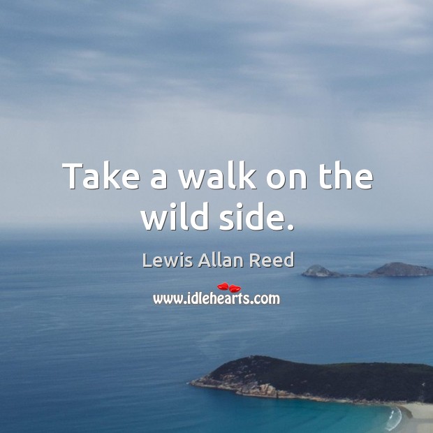 Take a walk on the wild side. Lewis Allan Reed Picture Quote