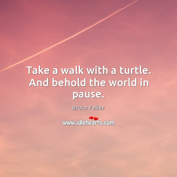 Take a walk with a turtle. And behold the world in pause. Bruce Feiler Picture Quote