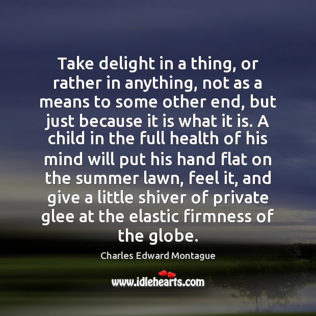 Take delight in a thing, or rather in anything, not as a Charles Edward Montague Picture Quote