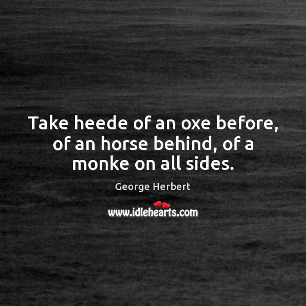 Take heede of an oxe before, of an horse behind, of a monke on all sides. George Herbert Picture Quote