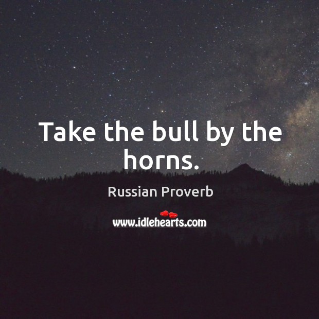 Take the bull by the horns. Image