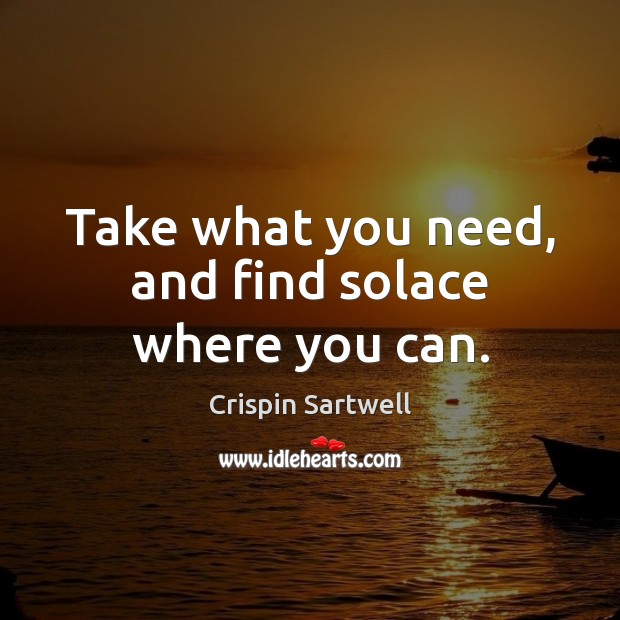 Take what you need, and find solace where you can. Crispin Sartwell Picture Quote