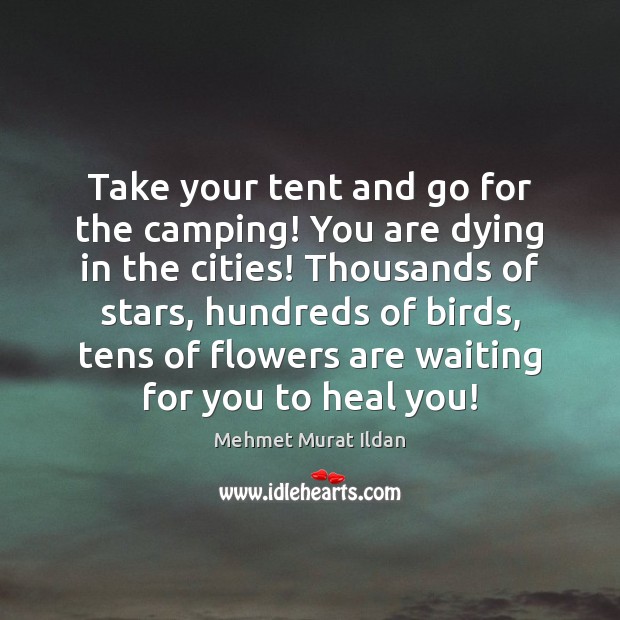 Take your tent and go for the camping! You are dying in Image