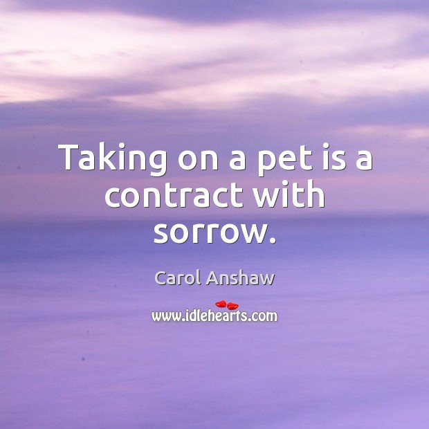 Taking on a pet is a contract with sorrow. Carol Anshaw Picture Quote