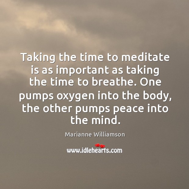 Taking the time to meditate is as important as taking the time Marianne Williamson Picture Quote
