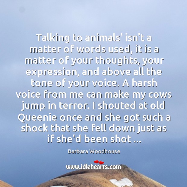 Talking to animals’ isn’t a matter of words used, it is a Barbara Woodhouse Picture Quote