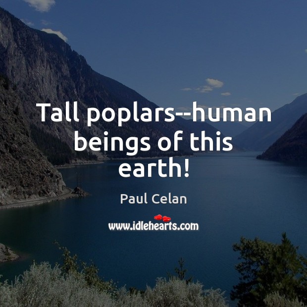 Tall poplars–human beings of this earth! 