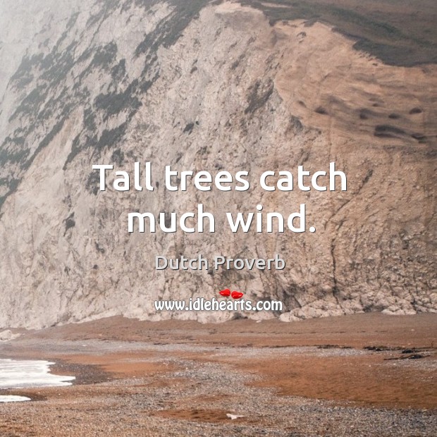 Tall trees catch much wind. Dutch Proverbs Image