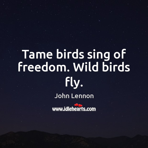 Tame birds sing of freedom. Wild birds fly. John Lennon Picture Quote