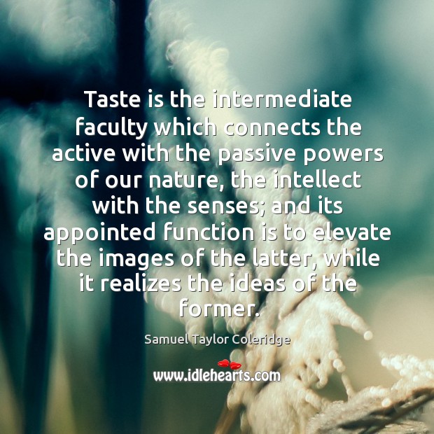 Taste is the intermediate faculty which connects the active with the passive Samuel Taylor Coleridge Picture Quote
