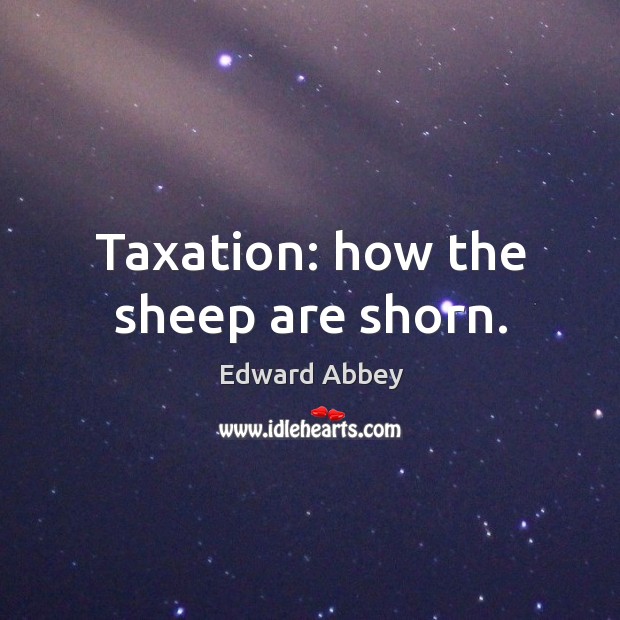 Taxation: how the sheep are shorn. Edward Abbey Picture Quote