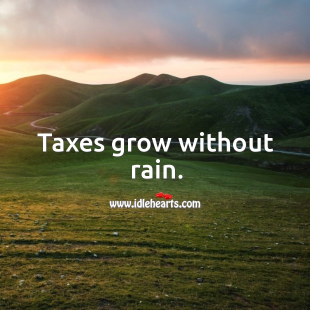 Taxes grow without rain. Image