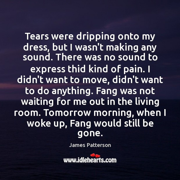 Tears were dripping onto my dress, but I wasn’t making any sound. James Patterson Picture Quote