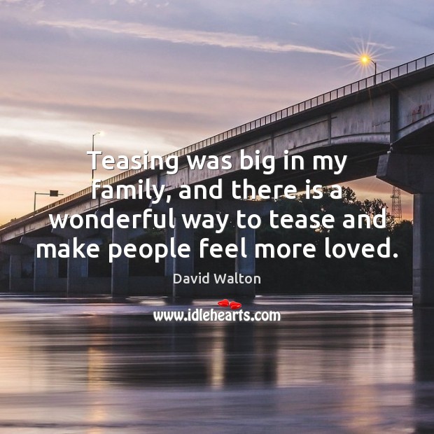 Teasing was big in my family, and there is a wonderful way David Walton Picture Quote