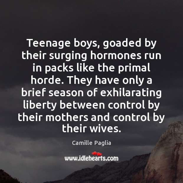 Teenage boys, goaded by their surging hormones run in packs like the Camille Paglia Picture Quote