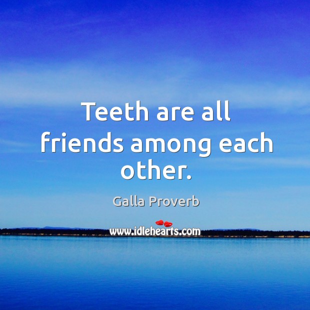 Teeth are all friends among each other. Galla Proverbs Image