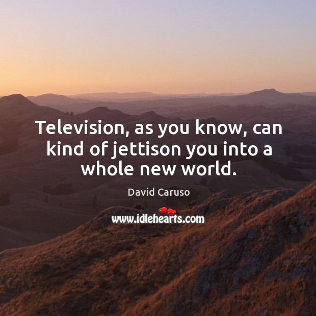 Television, as you know, can kind of jettison you into a whole new world. David Caruso Picture Quote