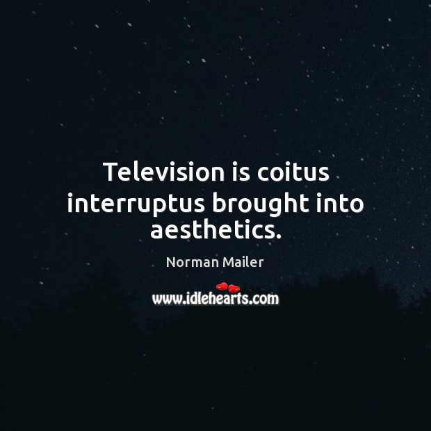 Television is coitus interruptus brought into aesthetics. Television Quotes Image