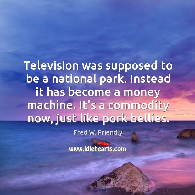 Television was supposed to be a national park. Instead it has become a money machine. Fred W. Friendly Picture Quote