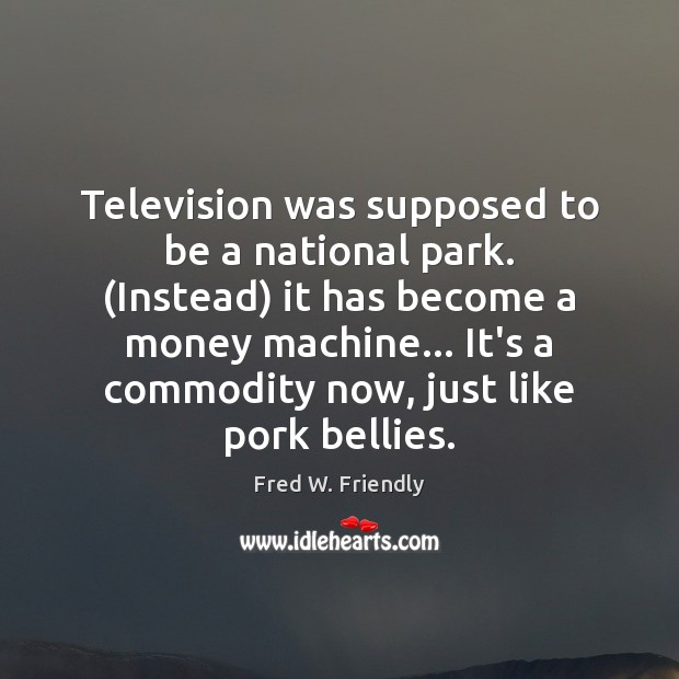 Television was supposed to be a national park. (Instead) it has become Fred W. Friendly Picture Quote