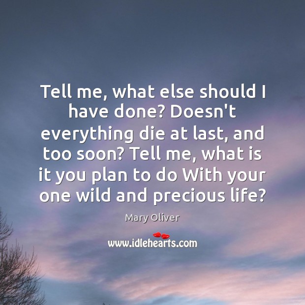Tell me, what else should I have done? Doesn’t everything die at Mary Oliver Picture Quote