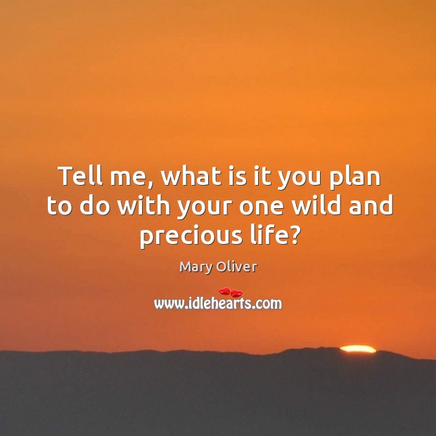 Tell me, what is it you plan to do with your one wild and precious life? Image