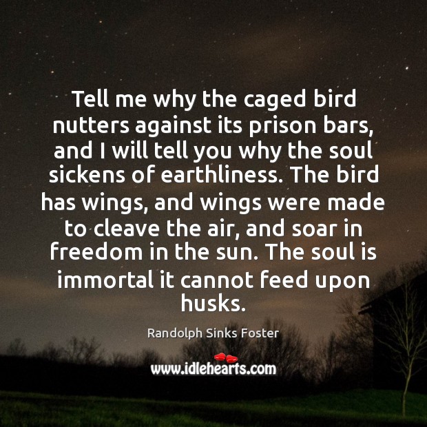 Tell me why the caged bird nutters against its prison bars, and Image