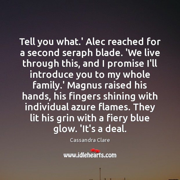 Tell you what.’ Alec reached for a second seraph blade. ‘We Image