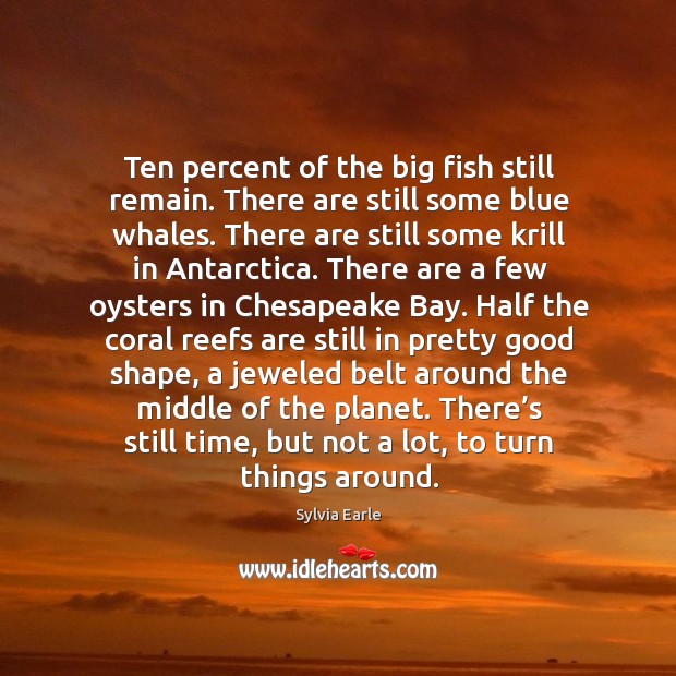 Ten percent of the big fish still remain. There are still some blue whales. Sylvia Earle Picture Quote