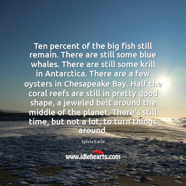 Ten percent of the big fish still remain. There are still some Image