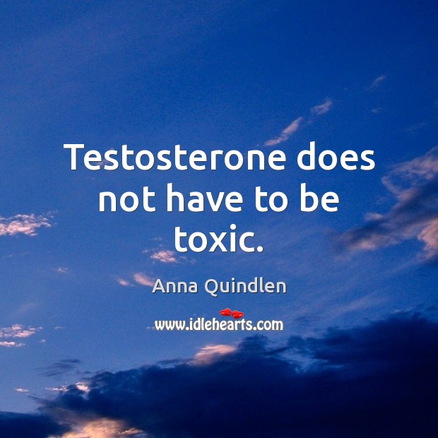 Testosterone does not have to be toxic. Anna Quindlen Picture Quote
