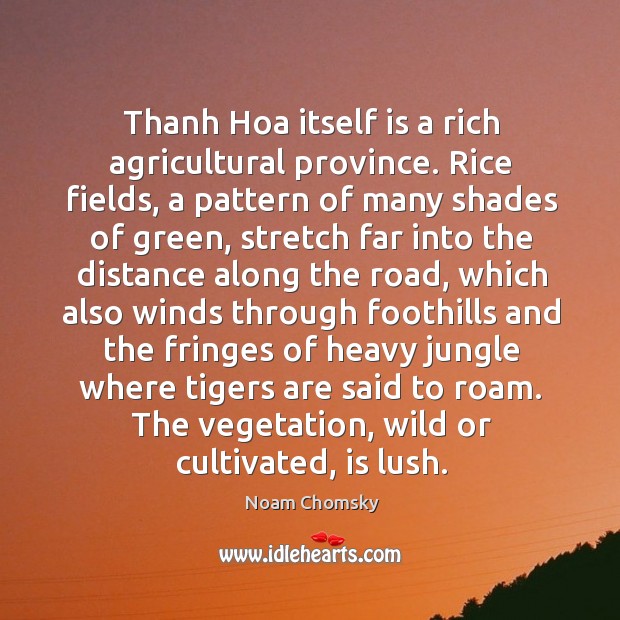 Thanh Hoa itself is a rich agricultural province. Rice fields, a pattern Noam Chomsky Picture Quote