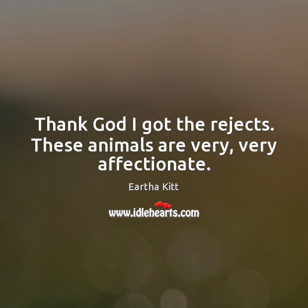 Thank God I got the rejects. These animals are very, very affectionate. Eartha Kitt Picture Quote